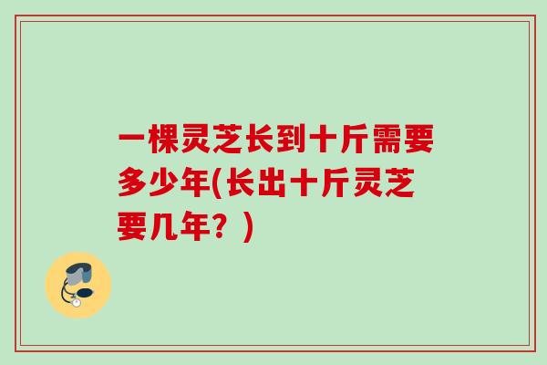 一棵灵芝长到十斤需要多少年(长出十斤灵芝要几年?) 一棵灵芝长到十斤需要多少年(长出十斤灵芝要几年?)