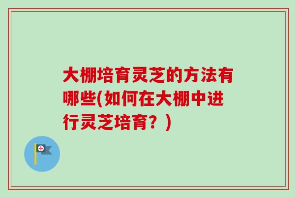 大棚培育灵芝的方法有哪些(如何在大棚中进行灵芝培育？)