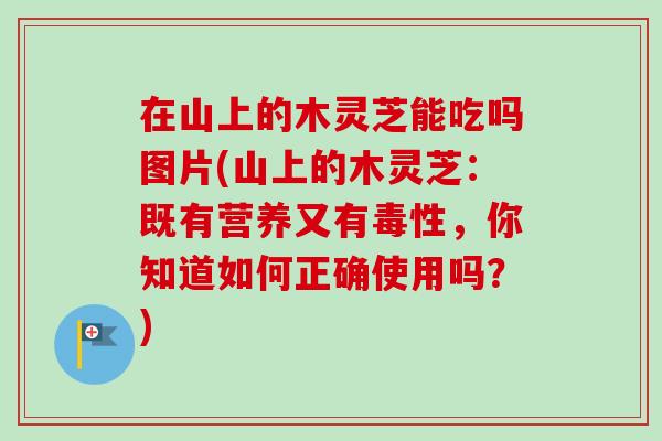 在山上的木灵芝能吃吗图片(山上的木灵芝：既有营养又有毒性，你知道如何正确使用吗？)