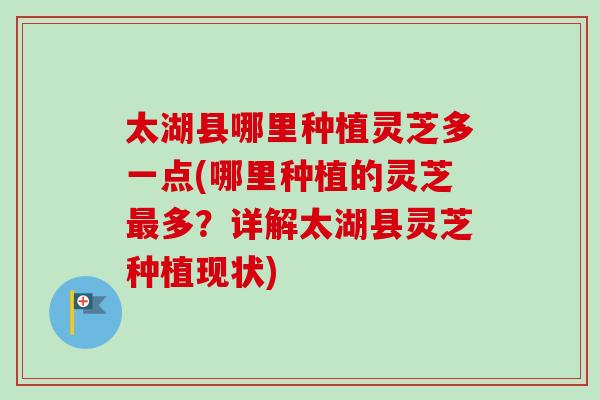 太湖县哪里种植灵芝多一点(哪里种植的灵芝多？详解太湖县灵芝种植现状)