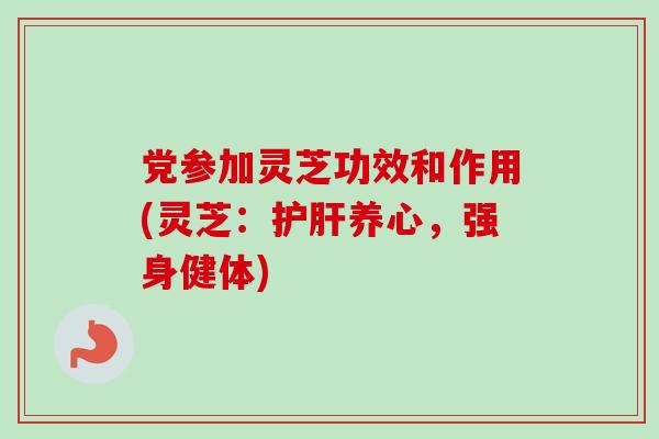 党参加灵芝功效和作用(灵芝：护肝养心，强身健体)