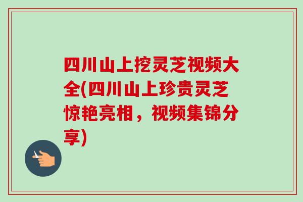 四川山上挖灵芝视频大全(四川山上珍贵灵芝惊艳亮相，视频集锦分享)