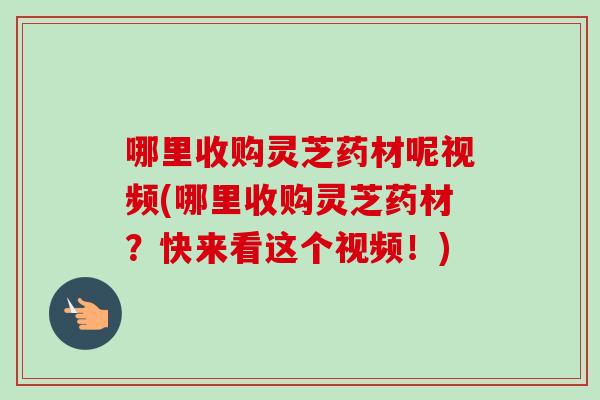 哪里收购灵芝药材呢视频(哪里收购灵芝药材？快来看这个视频！)