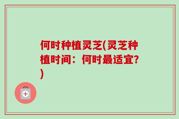何时种植灵芝(灵芝种植时间：何时适宜？)