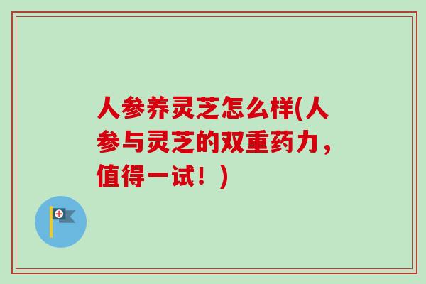 人参养灵芝怎么样(人参与灵芝的双重药力，值得一试！)
