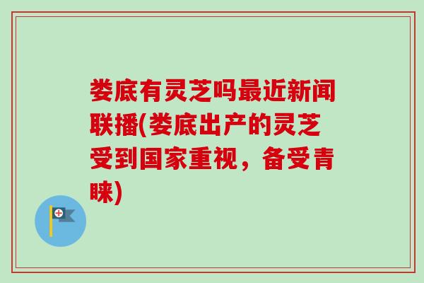 娄底有灵芝吗最近新闻联播(娄底出产的灵芝受到国家重视，备受青睐)