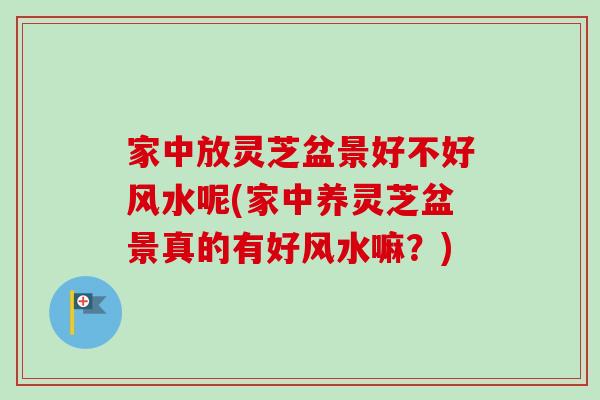 家中放灵芝盆景好不好风水呢(家中养灵芝盆景真的有好风水嘛？)