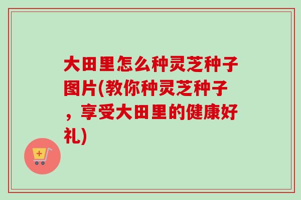 大田里怎么种灵芝种子图片(教你种灵芝种子，享受大田里的健康好礼)