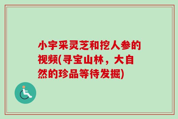 小宇采灵芝和挖人参的视频(寻宝山林，大自然的珍品等待发掘)