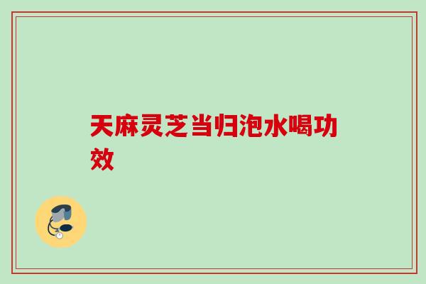 天麻灵芝当归泡水喝功效