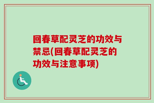 回春草配灵芝的功效与禁忌(回春草配灵芝的功效与注意事项)