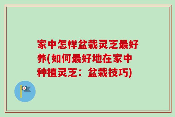 家中怎样盆栽灵芝最好养(如何最好地在家中种植灵芝：盆栽技巧)