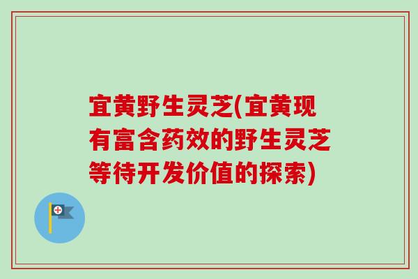 宜黄野生灵芝(宜黄现有富含药效的野生灵芝等待开发价值的探索)