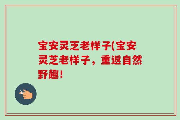 宝安灵芝老样子(宝安灵芝老样子，重返自然野趣！