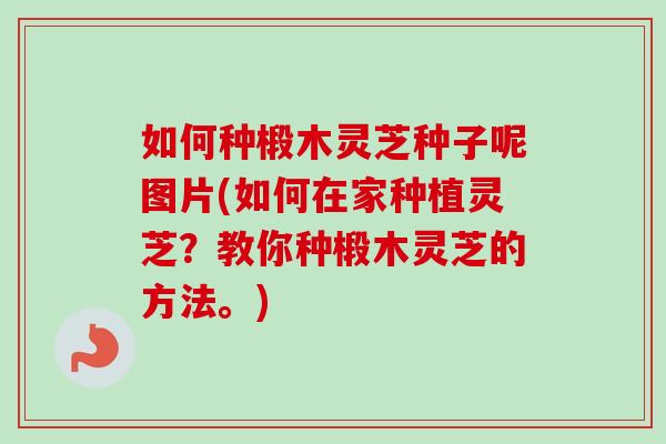 如何种椴木灵芝种子呢图片(如何在家种植灵芝？教你种椴木灵芝的方法。)