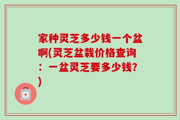 家种灵芝多少钱一个盆啊(灵芝盆栽价格查询:一盆灵芝要多少钱?) 家种灵芝多少钱一个盆啊(灵芝盆栽价格查询:一盆灵芝要多少钱?)