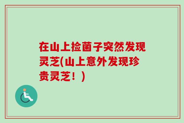 在山上捡菌子突然发现灵芝(山上意外发现珍贵灵芝！)