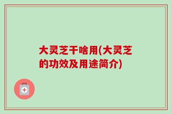 大灵芝干啥用(大灵芝的功效及用途简介)