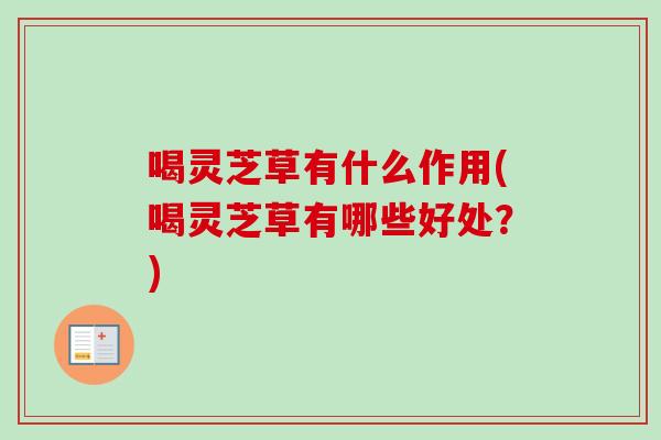 喝灵芝草有什么作用(喝灵芝草有哪些好处？)