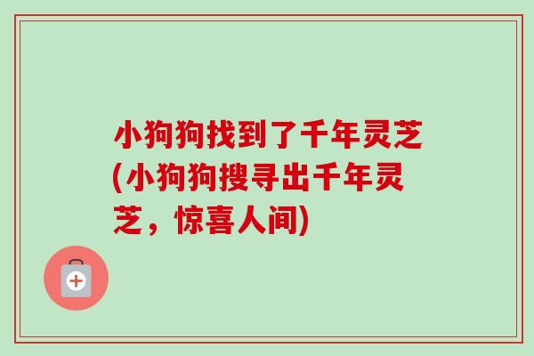 小狗狗找到了千年灵芝(小狗狗搜寻出千年灵芝，惊喜人间)