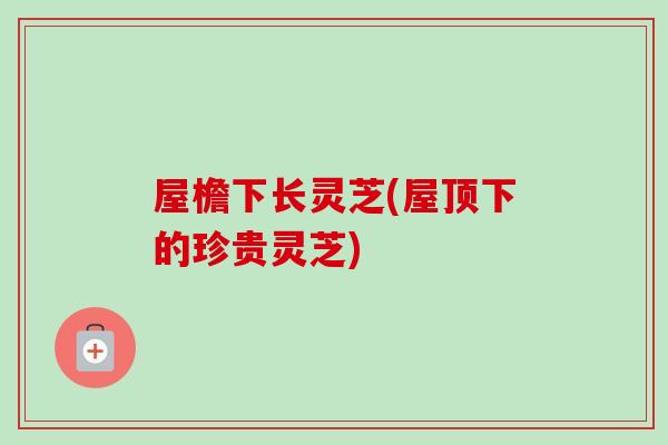 屋檐下长灵芝(屋顶下的珍贵灵芝)