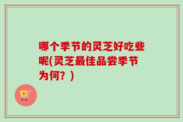 哪个季节的灵芝好吃些呢(灵芝最佳品尝季节为何？)