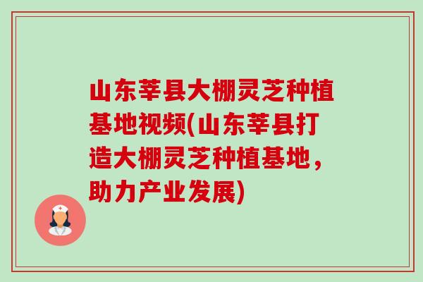 山东莘县大棚灵芝种植基地视频(山东莘县打造大棚灵芝种植基地，助力产业发展)