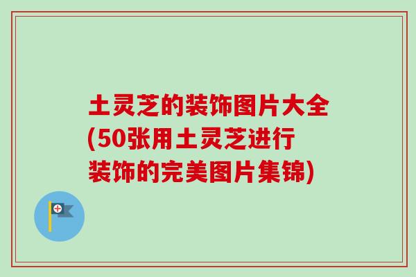 土灵芝的装饰图片大全(50张用土灵芝进行装饰的完美图片集锦)