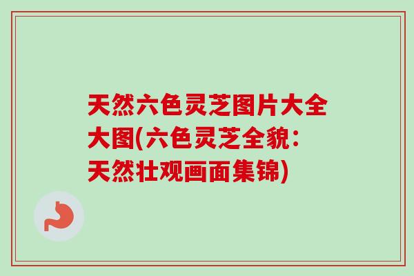 天然六色灵芝图片大全大图(六色灵芝全貌：天然壮观画面集锦)
