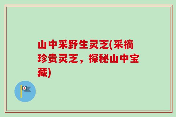 山中采野生灵芝(采摘珍贵灵芝，探秘山中宝藏)
