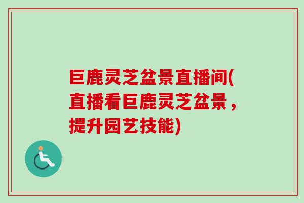 巨鹿灵芝盆景直播间(直播看巨鹿灵芝盆景，提升园艺技能)
