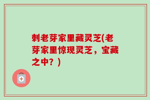 刺老芽家里藏灵芝(老芽家里惊现灵芝，宝藏之中？)
