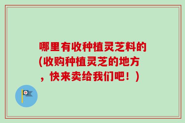 哪里有收种植灵芝料的(收购种植灵芝的地方，快来卖给我们吧！)