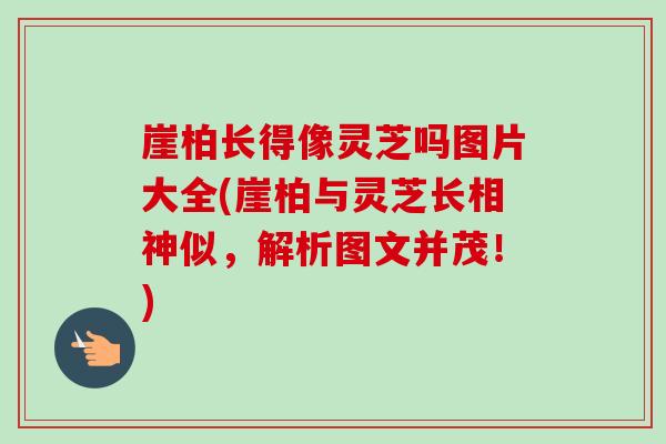 崖柏长得像灵芝吗图片大全(崖柏与灵芝长相神似，解析图文并茂！)