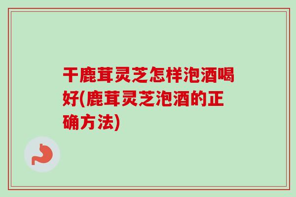 干鹿茸灵芝怎样泡酒喝好(鹿茸灵芝泡酒的正确方法)
