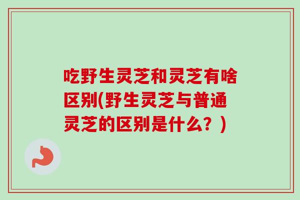 吃野生灵芝和灵芝有啥区别(野生灵芝与普通灵芝的区别是什么？)