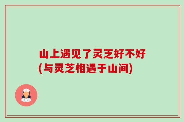 山上遇见了灵芝好不好(与灵芝相遇于山间)