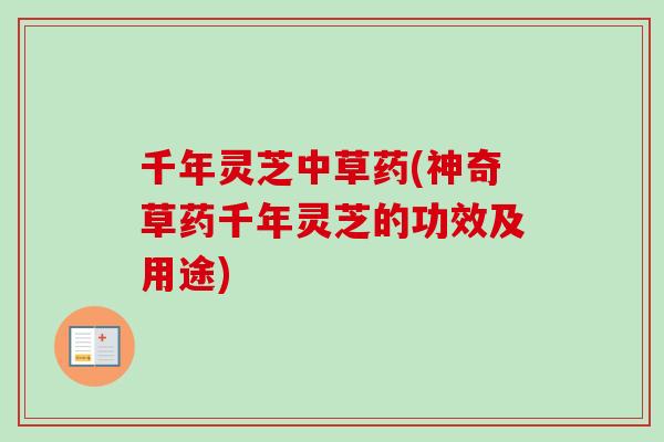 千年灵芝中草药(神奇草药千年灵芝的功效及用途)