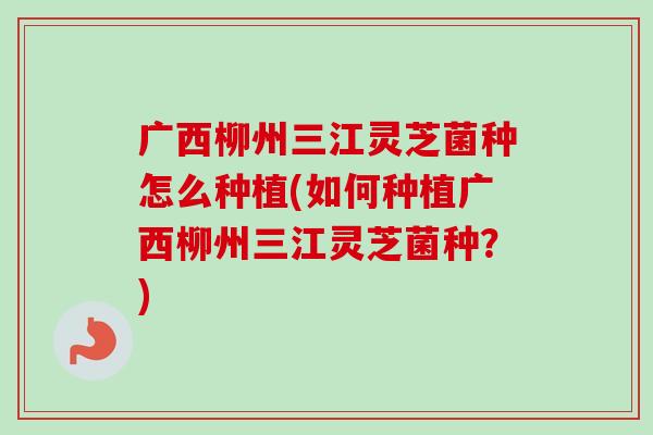 广西柳州三江灵芝菌种怎么种植(如何种植广西柳州三江灵芝菌种？)