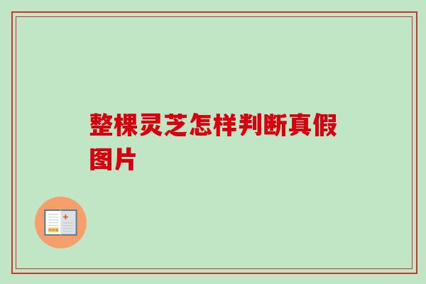整棵灵芝怎样判断真假图片