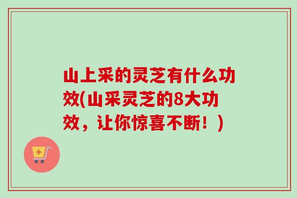 山上采的灵芝有什么功效(山采灵芝的8大功效，让你惊喜不断！)