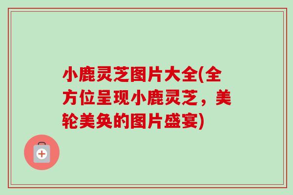 小鹿灵芝图片大全(全方位呈现小鹿灵芝，美轮美奂的图片盛宴)