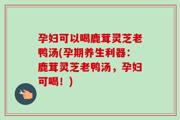 孕妇可以喝鹿茸灵芝老鸭汤(孕期养生利器：鹿茸灵芝老鸭汤，孕妇可喝！)