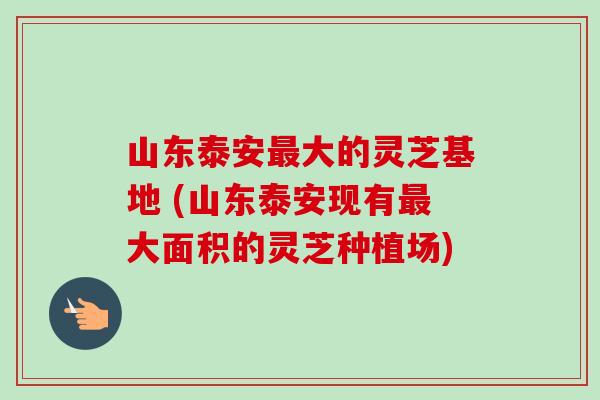 山东泰安大的灵芝基地 (山东泰安现有大面积的灵芝种植场) 山东泰安大的灵芝基地 (山东泰安现有大面积的灵芝种植场)