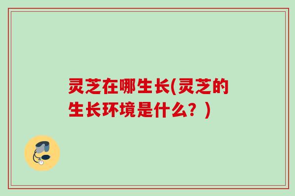 灵芝在哪生长(灵芝的生长环境是什么?) 灵芝在哪生长(灵芝的生长环境是什么?)