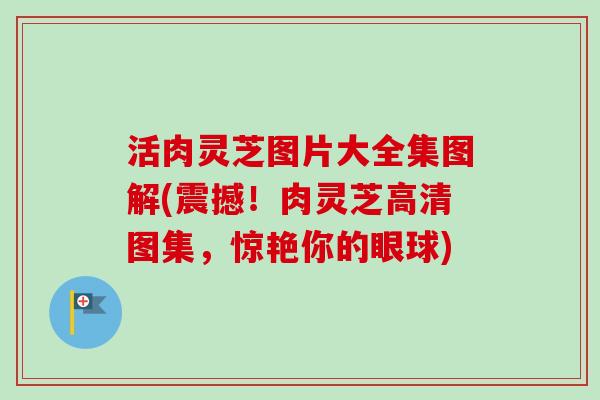 活肉灵芝图片大全集图解(震撼！肉灵芝高清图集，惊艳你的眼球)