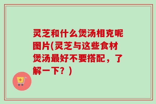 灵芝和什么煲汤相克呢图片(灵芝与这些食材煲汤好不要搭配,了解一下?) 灵芝和什么煲汤相克呢图片(灵芝与这些食材煲汤好不要搭配,了解一下?)