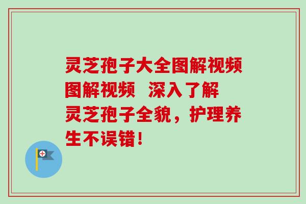 灵芝孢子大全图解视频图解视频 深入了解灵芝孢子全貌,护理养生不误错! 灵芝孢子大全图解视频图解视频 深入了解灵芝孢子全貌,护理养生不误错!