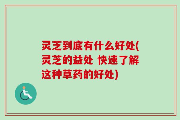 灵芝到底有什么好处(灵芝的益处 快速了解这种草药的好处)