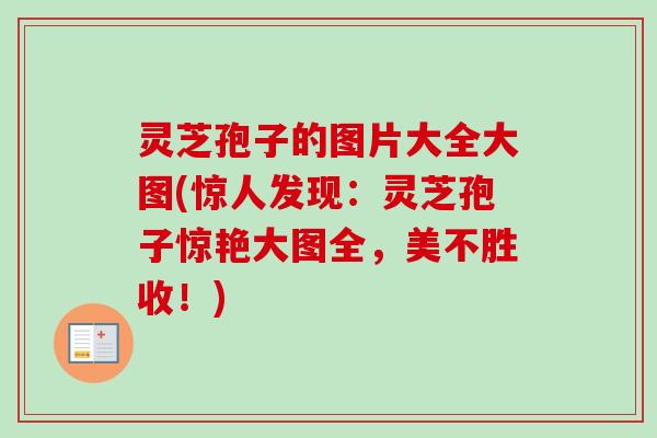 灵芝孢子的图片大全大图(惊人发现：灵芝孢子惊艳大图全，美不胜收！)